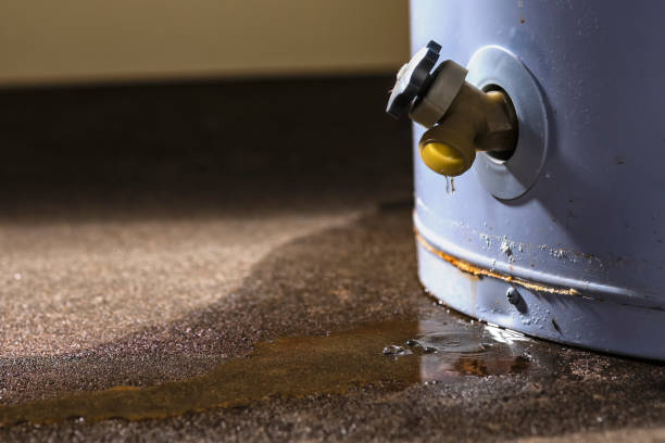 Best 24-hour water damage restoration  in Williamsburg, OH