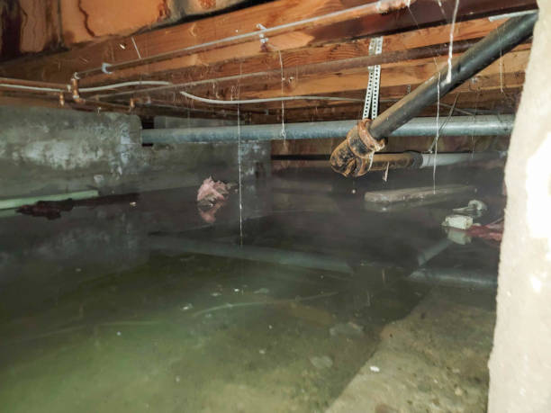 Best 24-hour water damage restoration  in Williamsburg, OH