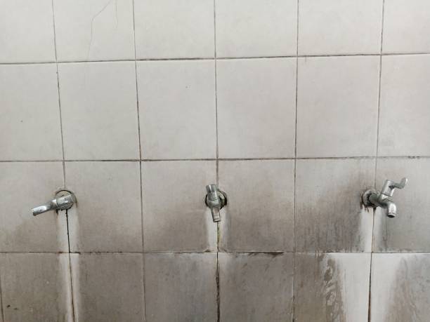 Best Professional water damage repair  in Williamsburg, OH