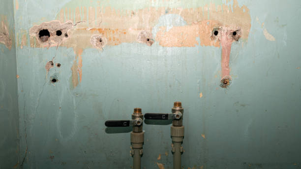 24/7 water damage repair in Williamsburg, OH