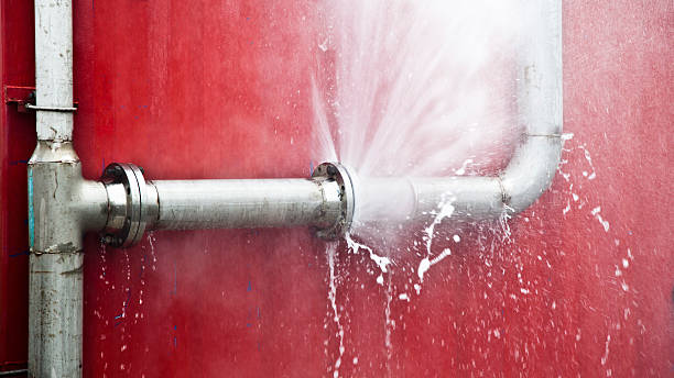  Williamsburg, OH Water damage restoration Pros